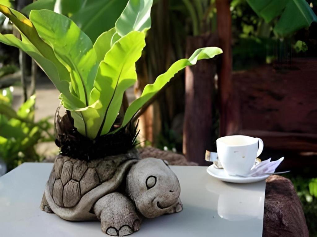 Tanisa Resort Chumphon Bagian luar foto