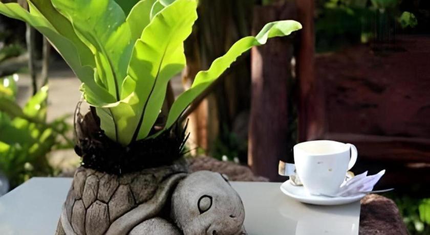 Tanisa Resort Chumphon Bagian luar foto